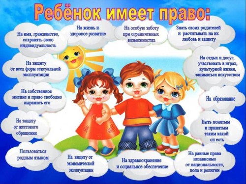 Основные гарантии прав ребенка в Российской Федерации: федеральный закон
